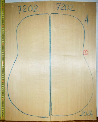 Guitar archtop No.7202 Top