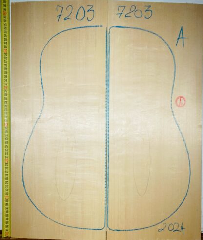 Guitar archtop No.7203 Top