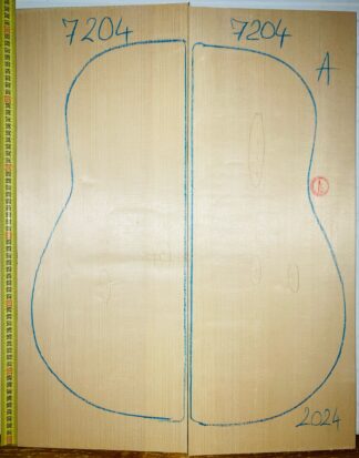 Guitar archtop No.7204 Top