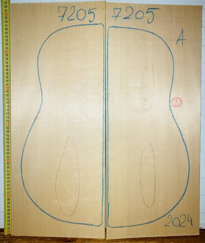 Guitar archtop No.7205 Top