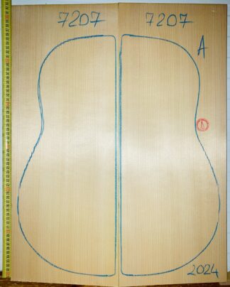 Guitar archtop No.7207 Top