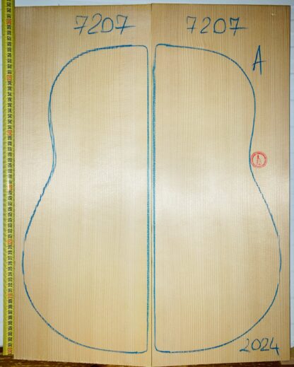 Guitar archtop No.7207 Top