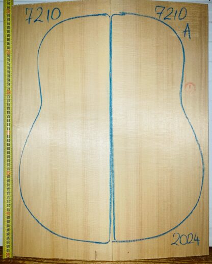 Guitar archtop No.7210 Top