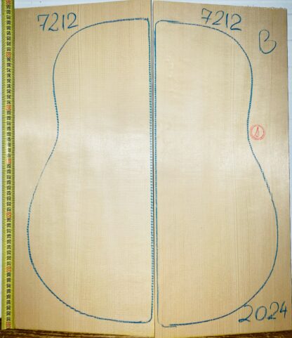 Guitar archtop No.7212 Top