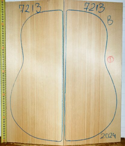 Guitar archtop No.7213 Top