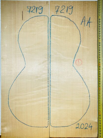 Guitar Classical No.7219 Top