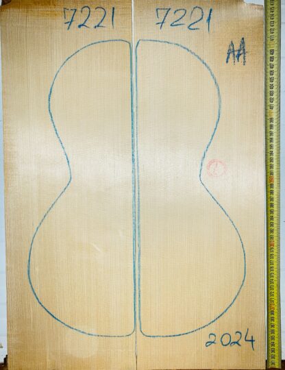 Guitar Classical No.7221 Top
