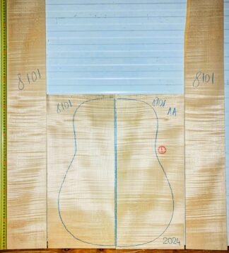 guitar-western No.8101 Back and Sides