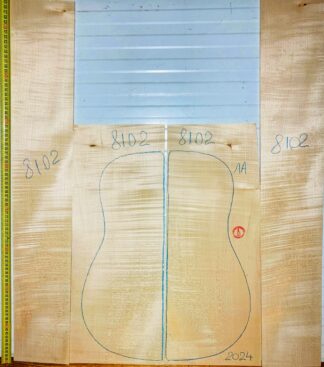 guitar-western No.8102 Back and Sides