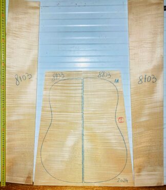 guitar-western No.8103 Back and Sides