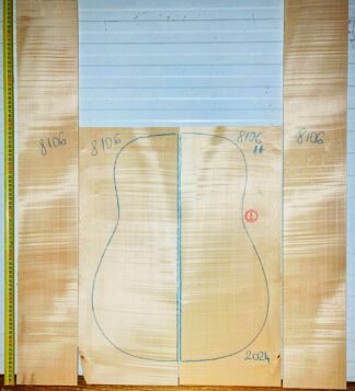 guitar-western No.8106 Back and Sides