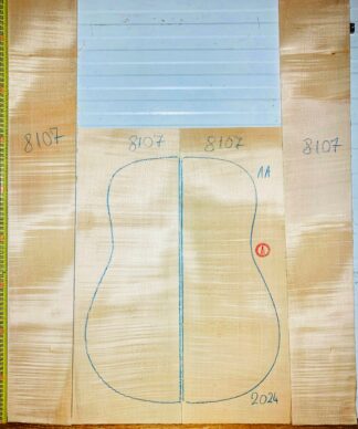 guitar-western No.8107 Back and Sides