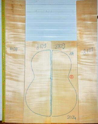 Guitar Classical No.8109 Back and Sides