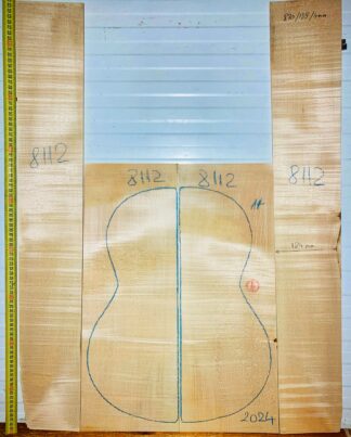 Guitar Classical No.8112 Back and Sides