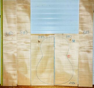 Guitar Classical No.8113 Back and Sides