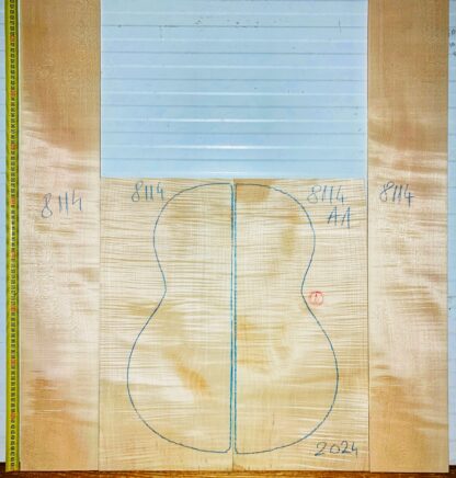 Guitar Classical No.8114 Back and Sides