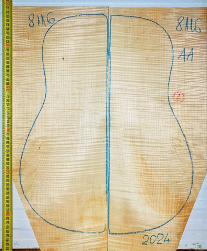 Guitar Classical No.8116 Back and Sides