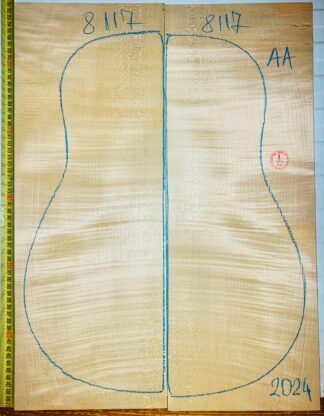 Guitar Classical No.8117 Back and Sides