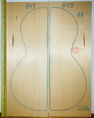 Guitar Classical No.8119 Top