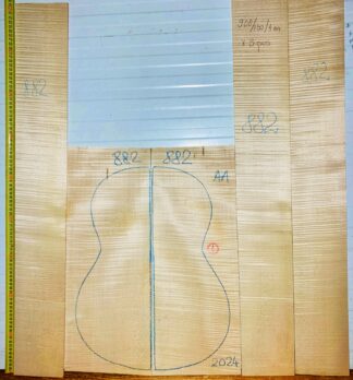Guitar Classical No.822 Back and Sides