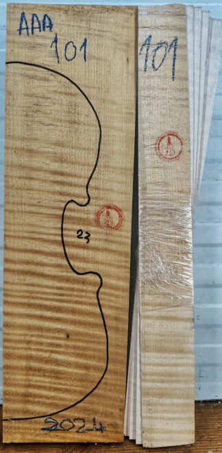 Violin No.101 Back and Sides