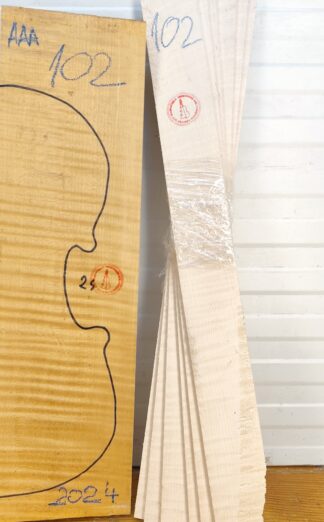 Violin No.102 Back and Sides