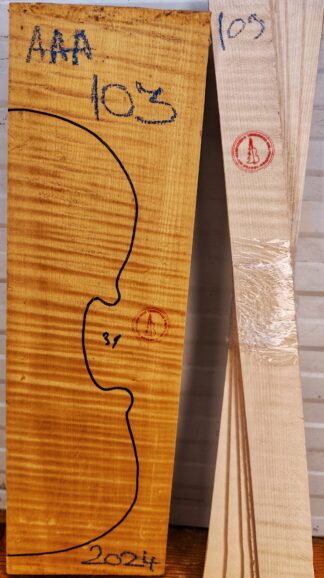 Violin No.103 Back and Sides