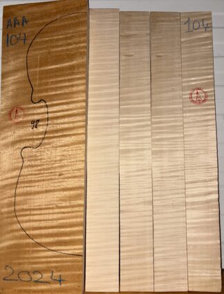 Violin No.104 Back and Sides