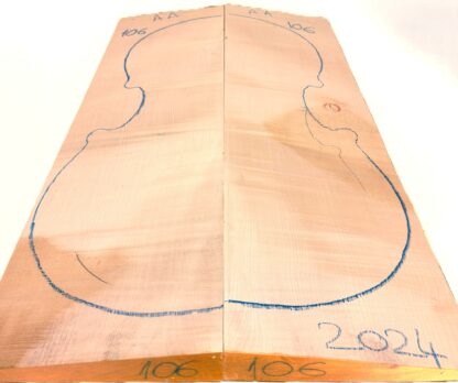 Cello No.300 Back and Sides