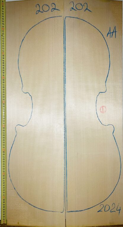 Cello No.202 Top