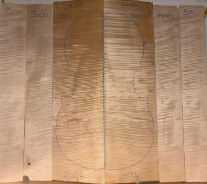 cello curly mAPLE