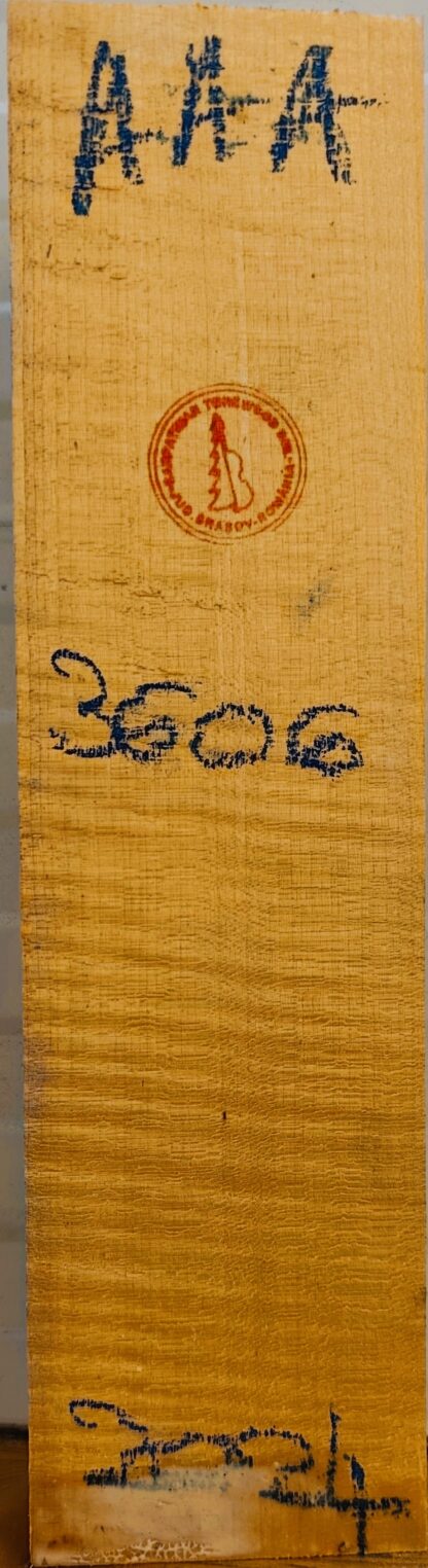 Violin No.3606 Neck
