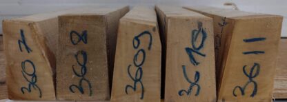 cut from Curly maple