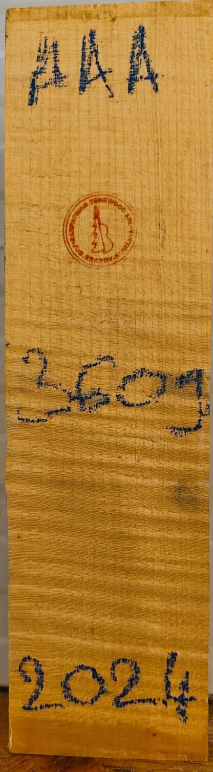 Violin No.3609 Neck
