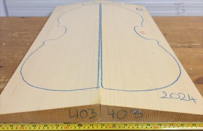 cut from Spruce
