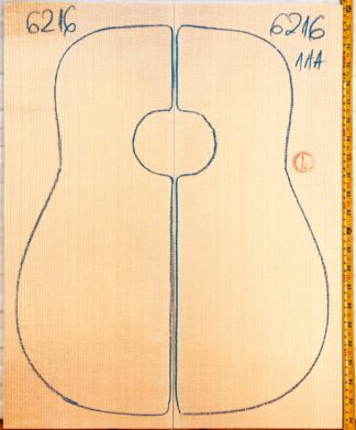 Guitar western No.6216 Top