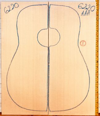 Guitar western No.6220 Top