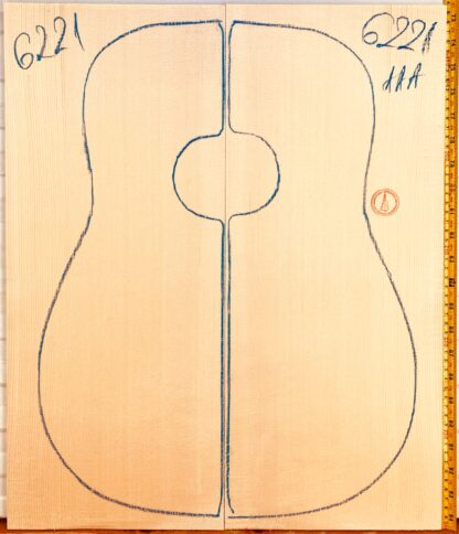 Guitar western No.6221 Top