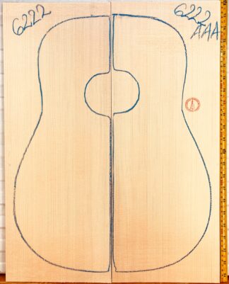 Guitar western No.6222 Top