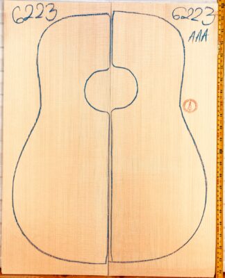 Guitar western No.6223 Top