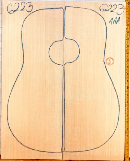 Guitar western No.6223 Top
