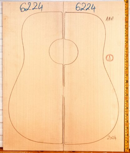 Guitar western No.6224 Top