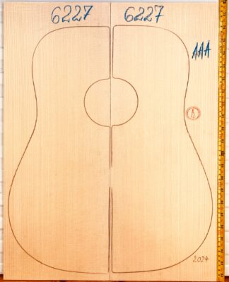 Guitar western No.6227 Top