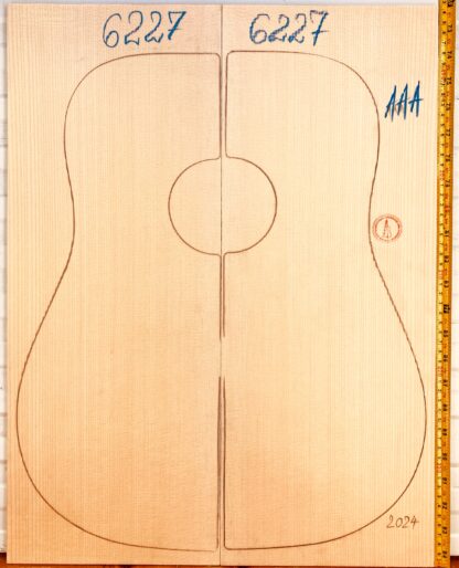 Guitar western No.6227 Top