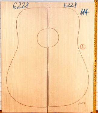 Guitar western No.6228 Top