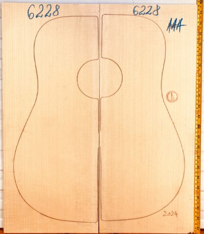 Guitar western No.6228 Top