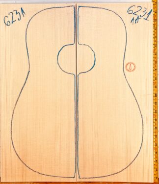 Guitar western No.6231 Top