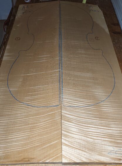 cut from Curly Maple