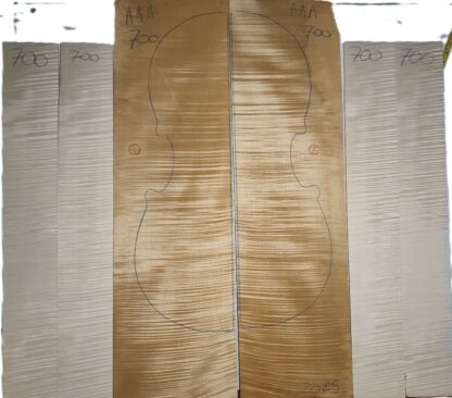 Cello No.700 Back and Sides