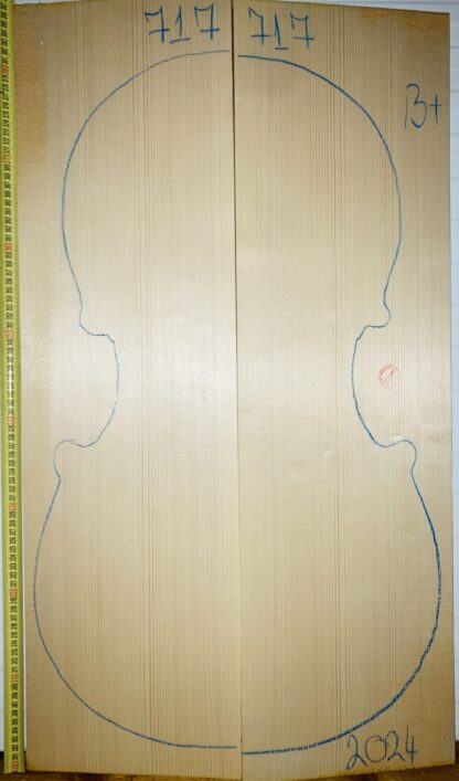 Cello No.717 Top